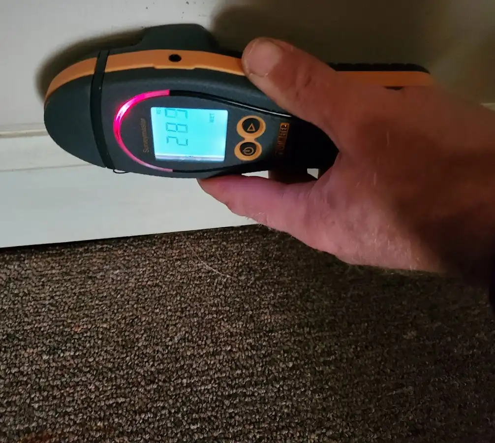 Moisture detection at baseboard during Sewage Cleanup & Sanitation in Gretna